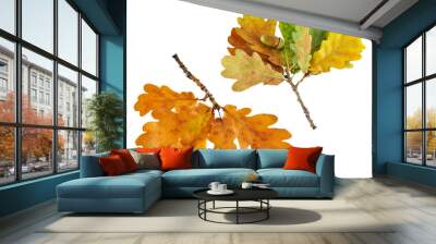 two autumn oak branch isolated on white Wall mural