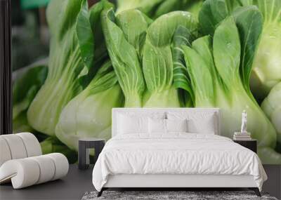 close up small choy sum with water on them a chinese vegetable Wall mural