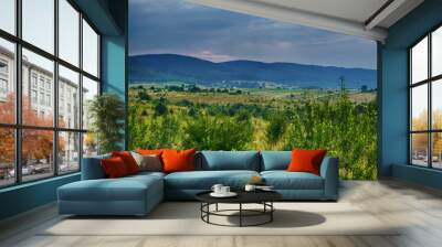 Wonderful landscape view on the Carpathian Mountains during the sunset in the summer season  Wall mural