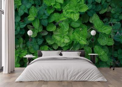 Trees, leaves, small green garden decorations. Wall mural