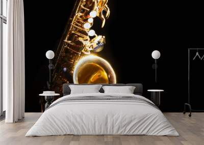 alto saxophone in the dark Wall mural