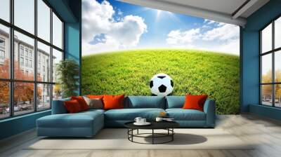 football field soccer stadium on the green grass blue sky sport Wall mural