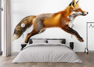 fox floating mid-air on isolated background
 Wall mural