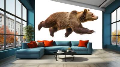 photo of a brown bear floating mid-air on isolated background
 Wall mural