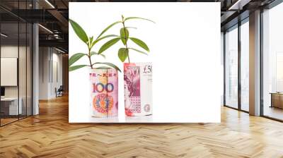 Concept of green plant grow on China Renminbi Yuan against Sterling Pound notes Wall mural