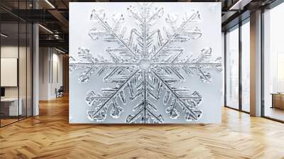 Close-up of a delicate snowflake on a soft, white background, showcasing intricate patterns and winter elegance. Wall mural