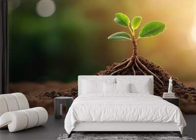 Small plant sprouting from soil, symbolizing growth and renewal. Wall mural