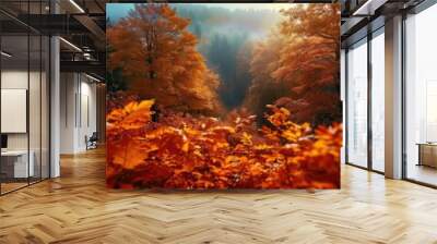 Stunning autumn landscape with vibrant fall foliage and sunlight streaming through trees in a beautiful forest setting. Wall mural