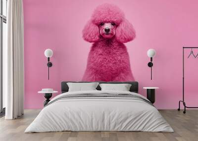 Cute Poodle with a soft lavender background, elegant and fluffy, 3D rendering Wall mural