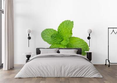 mint isolated on white background Wall mural