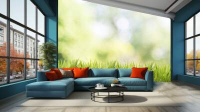 Bright spring grass field with sunlight bokeh background
 Wall mural