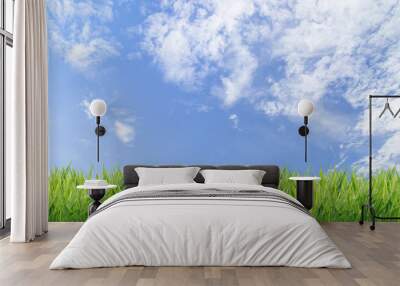 Green grass with blue sky background Wall mural