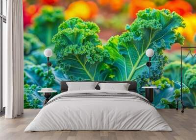 Close-up of Curly Kale Leaves with Blurred Background. Wall mural