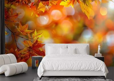 Colorful foliage in a serene autumn park Beautiful display of fall colors in a peaceful park setting Wall mural