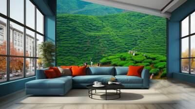 Aerial view of tea plantation on a hill, surrounded by mountains and forest, with a vibrant rural atmosphere, Cameron highlands, Malaysia. Wall mural