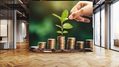 Close-up macro photo of tree growing on coins stacks, business growth and financial success concept. Concept of saving, investment, money growing. Wall mural