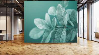 A leafy green plant with droplets of water on it Wall mural