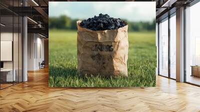 Detailed view of a large paper bag filled with biochar placed on a grassy field, representing sustainable agriculture and ecofriendly packaging, realistic and vibrant Wall mural