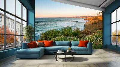 Beautiful La Jolla beach and coast,San Diego, California Wall mural