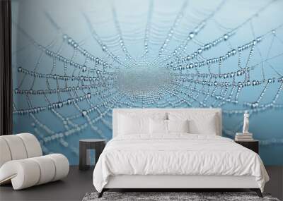 Spider Web with Water Droplets. Wall mural