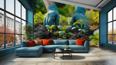 Seeds being planted in a row, hands in gardening gloves Wall mural