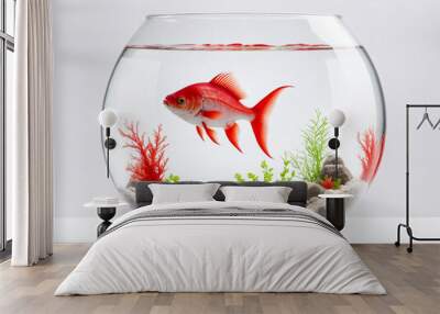 Goldfish in a glass bowl Wall mural