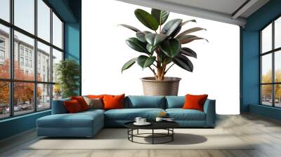 large house rubber plant on a transparent background Wall mural