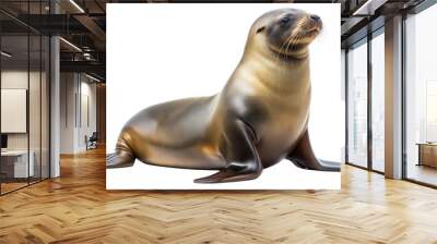 sea lion on a transparent background Wall mural