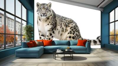 snow leopard on a transparent background Wall mural