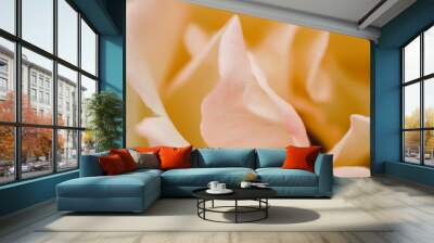 Flower petals Wall mural