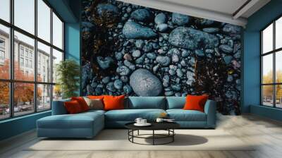 Seaweed on the rocks Wall mural