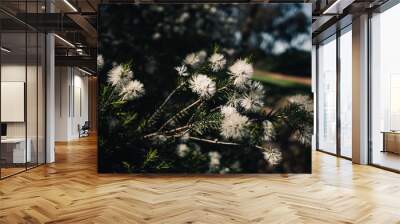 Spring flowers in the park Wall mural