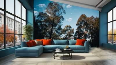 trees and sky Wall mural