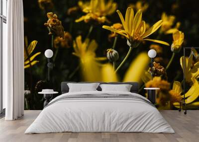 Yellow flowers Wall mural