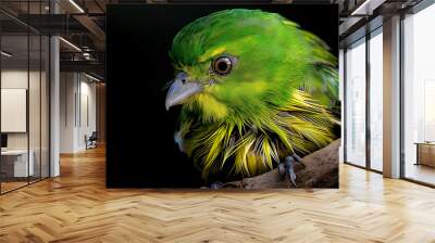 there is a green bird with yellow feathers sitting on a branch Wall mural