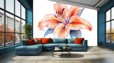 Vibrant watercolor illustration of an orange lily flower with soft blue accents, showcasing delicate petals and artistic brush strokes. Wall mural