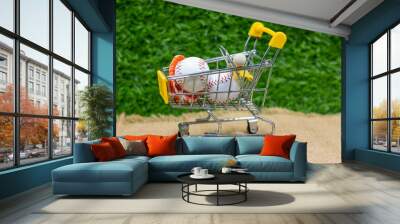 Baseball are in Supermarket trolley.

 Wall mural