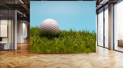 Golf ball is on green grass Wall mural