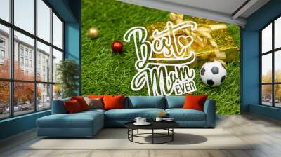 Soccer mom with ball for Mother's day are on green grass Wall mural