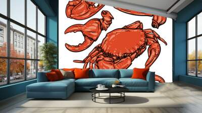 Crab hand draw on white background. Claw Crab doodle vector illu Wall mural