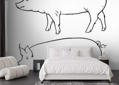 Hand drawn pig isolated on white background. Drawing Vector illu Wall mural