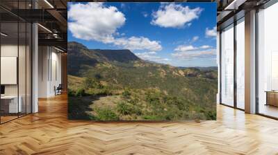 High valleys and rich green forests of the rainforest. Wall mural