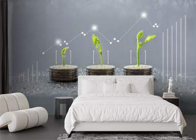 trees growing on coins, business with csr practice, Save and growing finance Wall mural