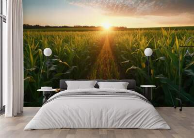 A summer morning in the cornfield Wall mural