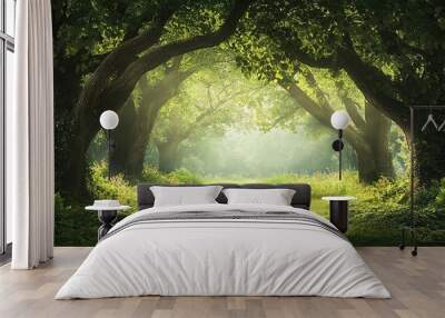 A beautiful fairytale enchanted forest with big trees and great vegetation.  Wall mural