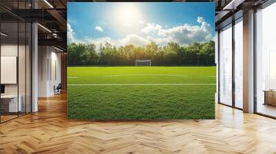 A beautiful soccer field with a goal in the distance Wall mural