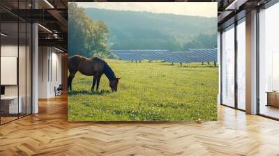 A horse grazes in a green pasture while a solar panel array in the distance harnesses the power of the sun without the peaceful farm setting. Wall mural