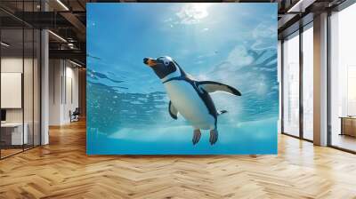 A penguin swimming in an aquarium with a blue sky Wall mural