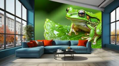 emerald green frog perched on glistening wet leaf vibrant amphibian wildlife closeup photo Wall mural