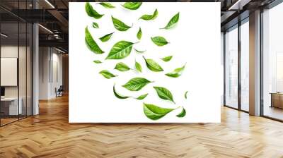 Green flying leaves isolated on white background with place foe text. Fresh tea, air purifier, organic, vegan, eco or beauty product concept design  Wall mural